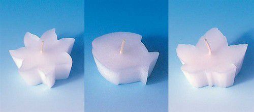 Gietmal Drijfkaars Combi Zon/vis/esdoornblad Shapes 20x50mm