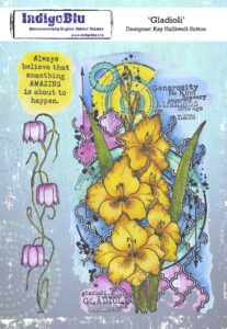Indigoblu Stempel A5 Gladioli A5
