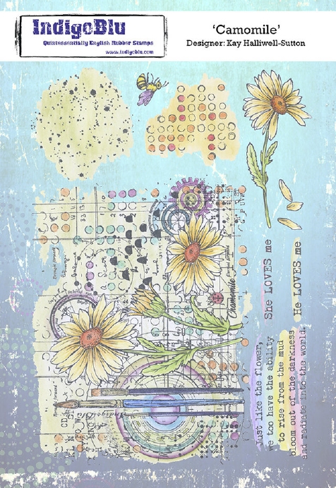 Indigoblu Stempel Camomile A5 Rubber Stamps