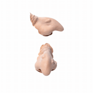 Pxp Professional Colours Latex Heksenneus