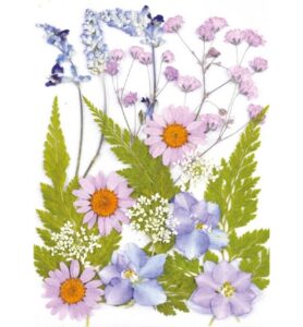 Droogbloemen Paars Vacuumverpakt