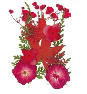 Droogbloemen Rood Vacuumverpakt