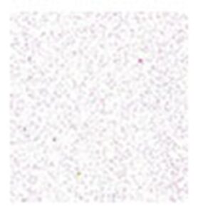 Foam 20x30cm X 2mm Wit Glitter
