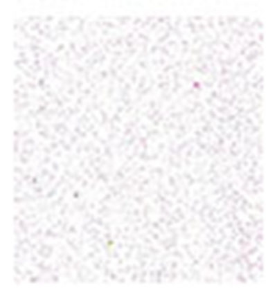 Foam 20x30cm X 2mm Wit Glitter