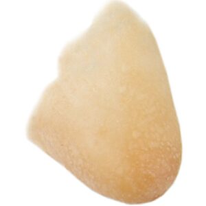 Grimas Latex Nose Tip Nr: 204 Neus Tip