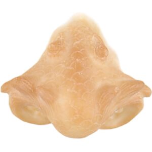 Grimas Latex Snout Nr: 304 Drakensnuit