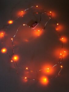 Ledverlichting Snoer Oranje Incl Batt