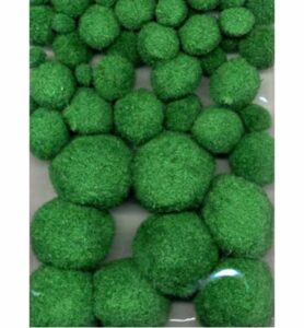 Pom Poms Groen 1.0 1.5 2.0 2.5 Cm