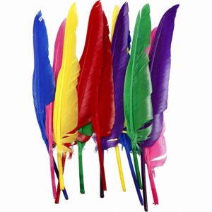 Veren, l: 27 cm, diverse kleuren, 12stuks