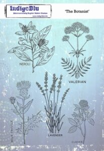 Indigoblu Stempel "the Botanist"