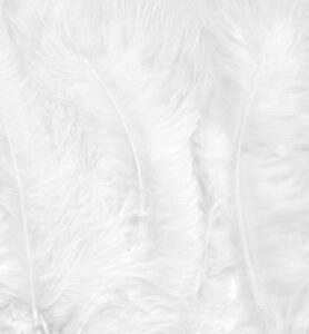 Marabou Feathers,white,15pcs