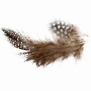 Veren van parelhoen, circa 100 stuk, NATUREL assorti, 3gr