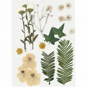 Gedroogde Bloemen En Bladeren, Geel 19 Stuks
