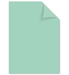 Kangaro A4 Karton Pastel Groen 160 Gram 10 Vel