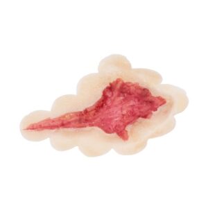 Grimas – Open Wound #1 | Latex Wound 805 - Foamtastic Crafts