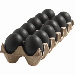 Doosje met kunststof eieren, Zwart afm, 6 cm – 12 stuks - Foamtastic Crafts